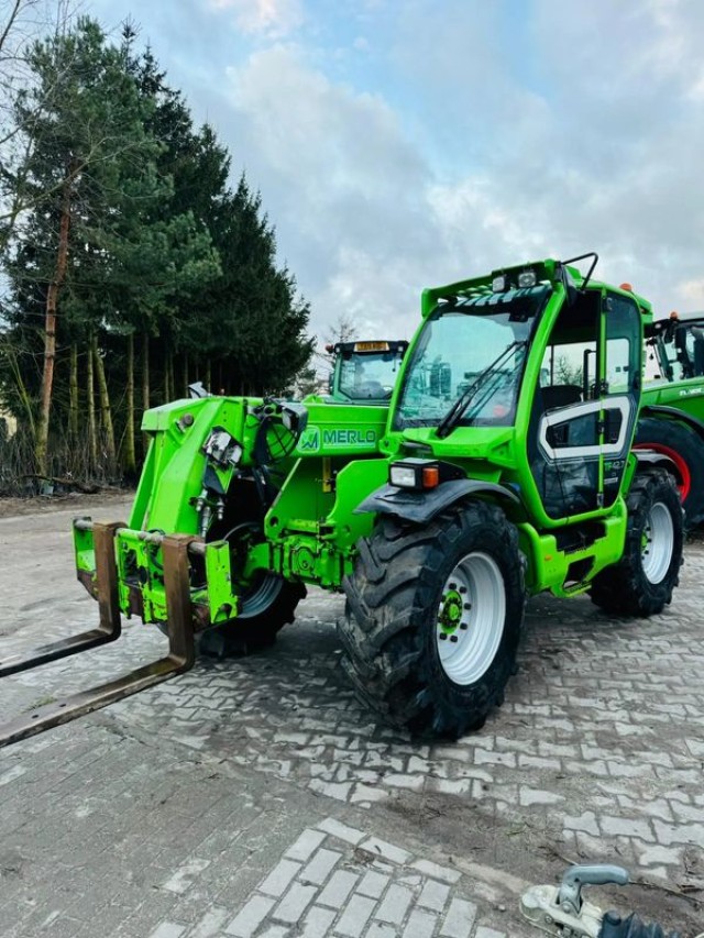 merlo